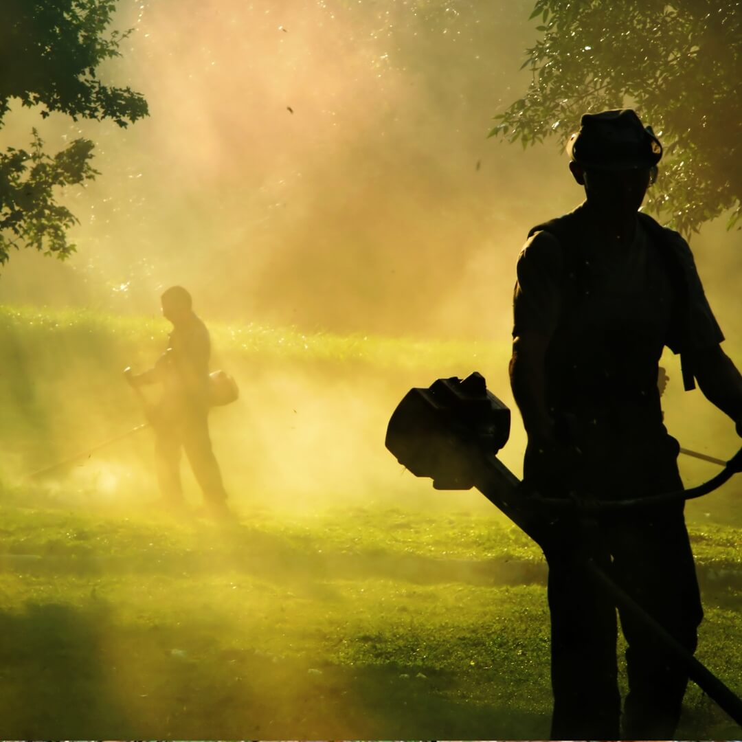 Close up of person using bush cutter on hedge